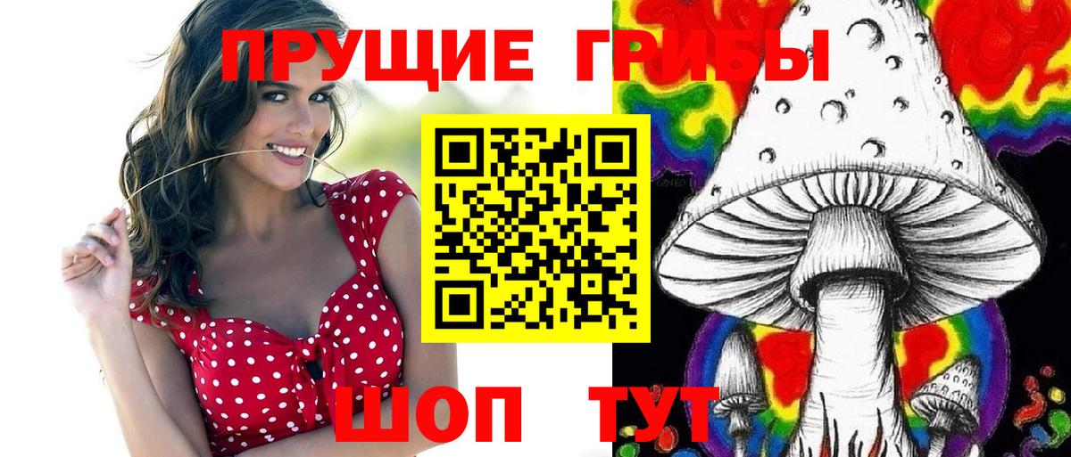 Галлюциногенные грибы GOLDEN TEACHER  Вход с VPN  Миасс 
